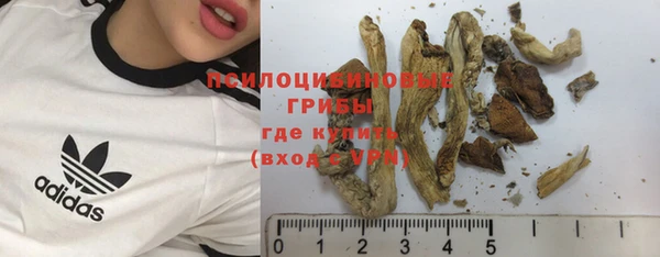 бошки Алексеевка